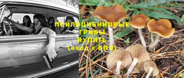 трава Алексин