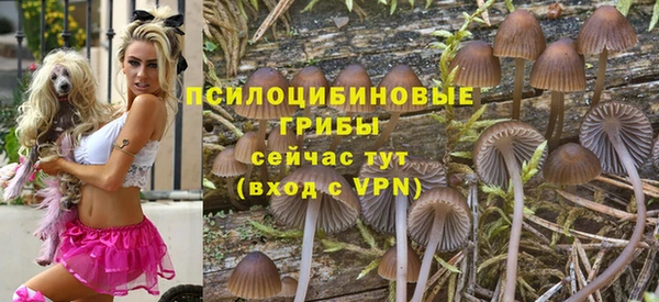2c-b Алзамай