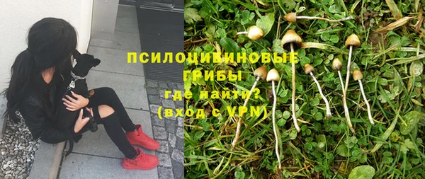 трава Алексин