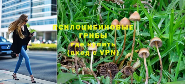 трава Алексин