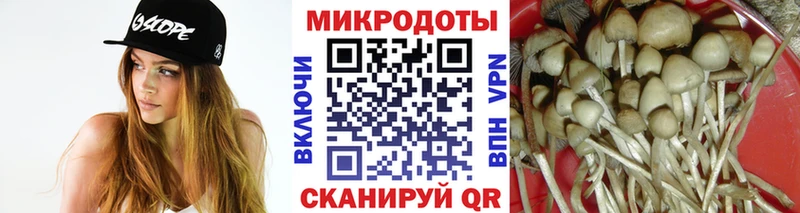 Галлюциногенные грибы мицелий Купить Ульяновск